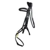 ECO Rider Freedom Grackle...