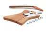 Solo EXK-1 DIY Electric...