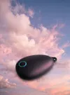 Sensate Relaxation Device &ndash;...
