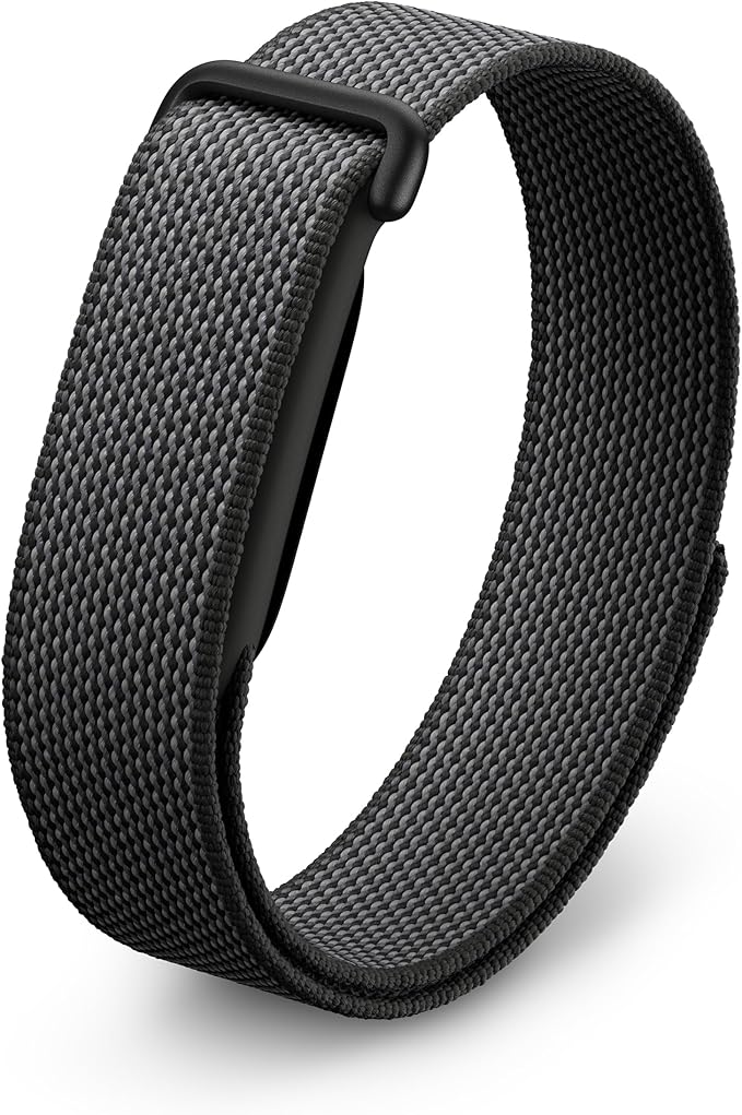 Google Fitbit Air