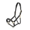 Shires Velociti GARA Leather...