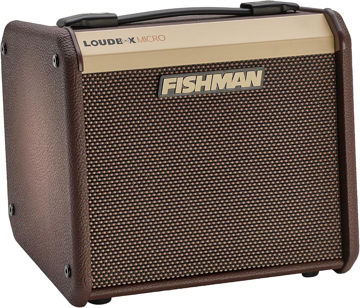 Fishman Loudbox Micro