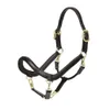 LeMieux Black Leather Horse...