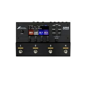 Fractal Audio AM4