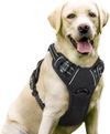 rabbitgoo Dog Harness Medium...