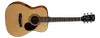 Cort AF510 Acoustic Natural