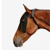 Horse Riding Pasture Fly...