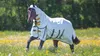Shires Highlander Plus...