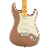 Fender American Professional...