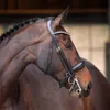 Shires Velociti Lusso Elite...