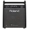 Roland PM-100 Personal Drum...