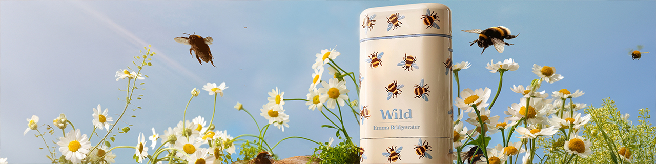 Wild promotional image for a code offer