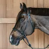 Dy'on Working Bitless Bridle...