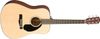 Fender CD-60S Dreadnought...