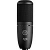 AKG P120 High Performance...