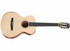 Taylor Academy 12e-N Nylon...