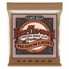 Ernie Ball Earthwood Medium...