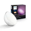 Philips Hue Go Portable...