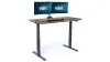 Vari Electric Standing Desk -...