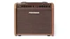 Fishman Loudbox Mini Charge...