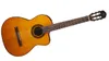 Takamine GC1CE Electro...