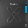 D'Addario February Deals