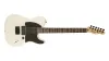 Fender Jim Root Telecaster...