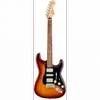 Fender Player Stratocaster...