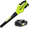 SnapFresh Cordless Leaf Blower