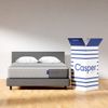 Casper Original Memory Foam...