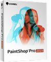 PaintShop Pro 2019