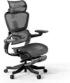 Ergonomic Office Chair with...