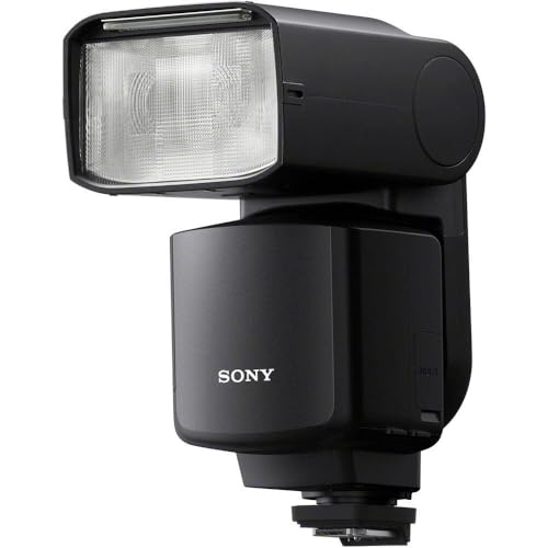Sony GN60 Wireless Radio...