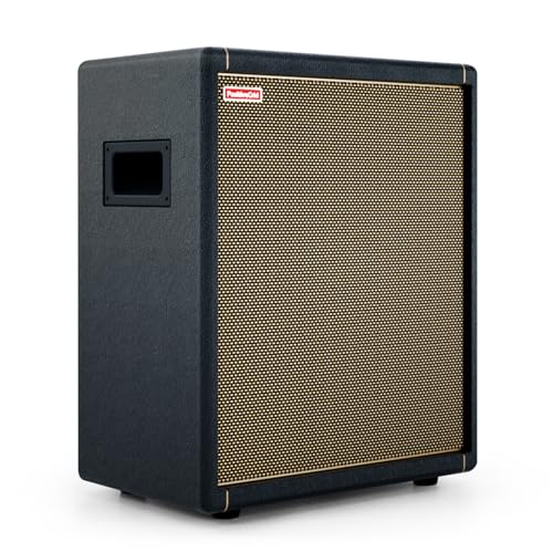 Positive Grid Spark CAB...