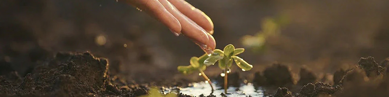 W-Wellness promotional image for a code offer