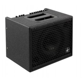 Udo Roesner Capo 75 Acoustic Amp