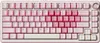Yunzii B75 Pro