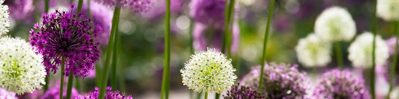 Revive Active promotional image for a code offer