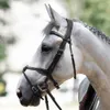 Antares Origin Grackle Bridle...