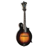 Loar Professional F-Style...