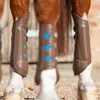 Premier Equine Air-Cooled...
