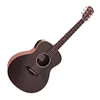 Taylor Gs Mini-e Trans Black...