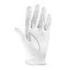 Footjoy Men's Stasof Golf...