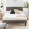 Wayfair Sleep™ 6" Medium...