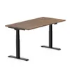 FlexiSpot - E7 60''W Electric...
