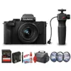 Panasonic Lumix G100D...