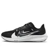 (WMNS) Nike Pegasus 40 PRM...