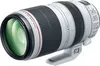 Canon EF 100-400mm f/4.5-5.6L...