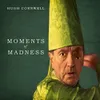 MOMENTS OF MADNESS [VINYL]