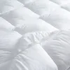 The White Company...